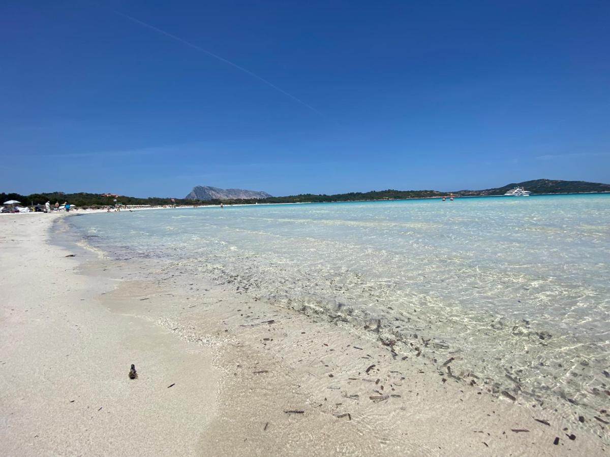 Vista Sul Mare E Tavolara Budoniaffitti Porto San Paolo  Zewnętrze zdjęcie